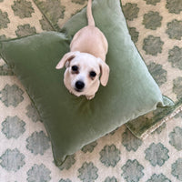 Charlotte’s Webb - 3x9 Green