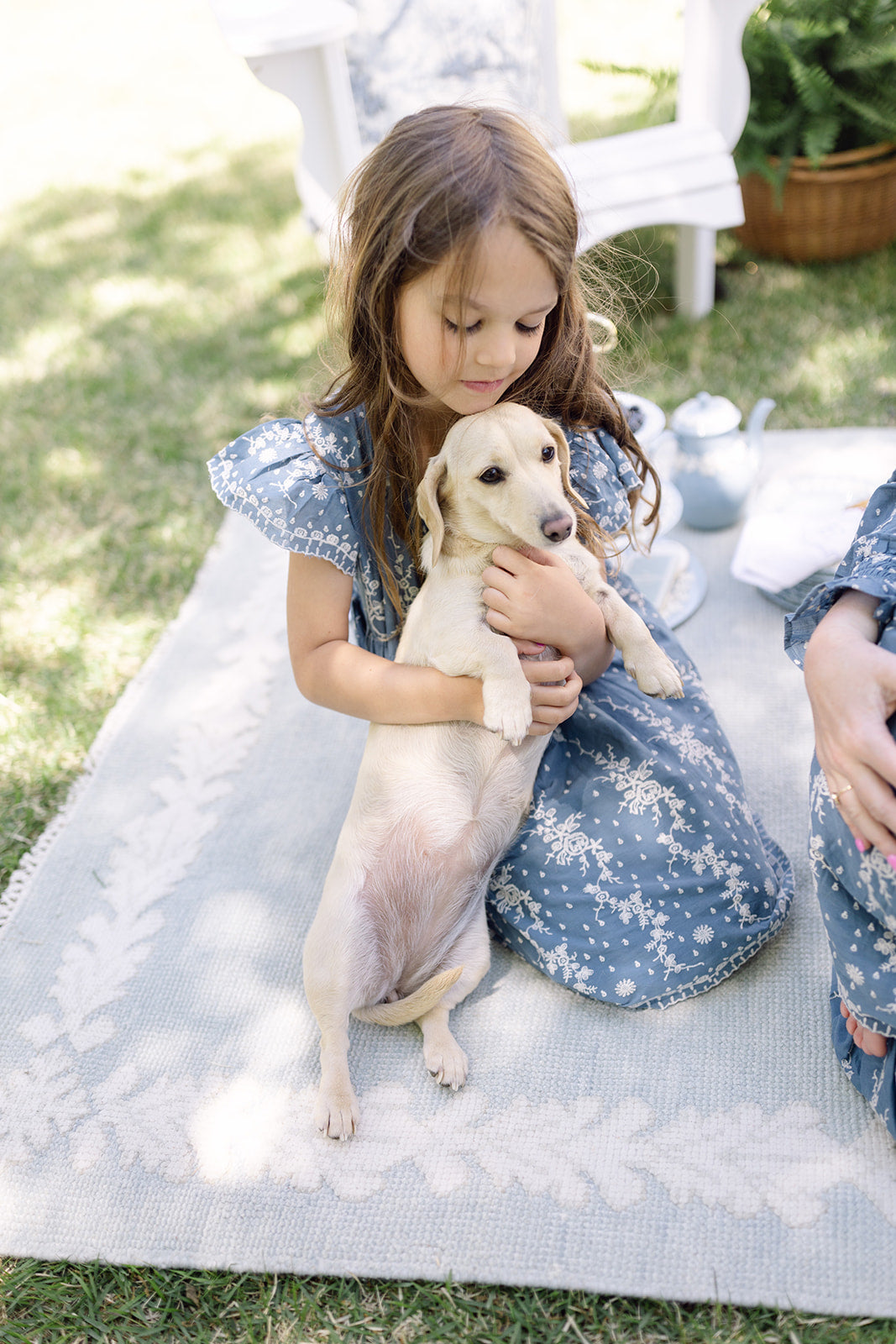 I Wish You Wedgwood - 8x10