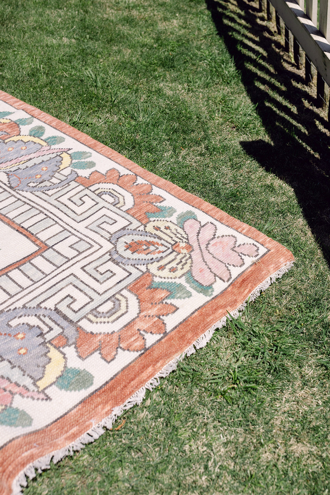 Rose to the Occasion - 5x7