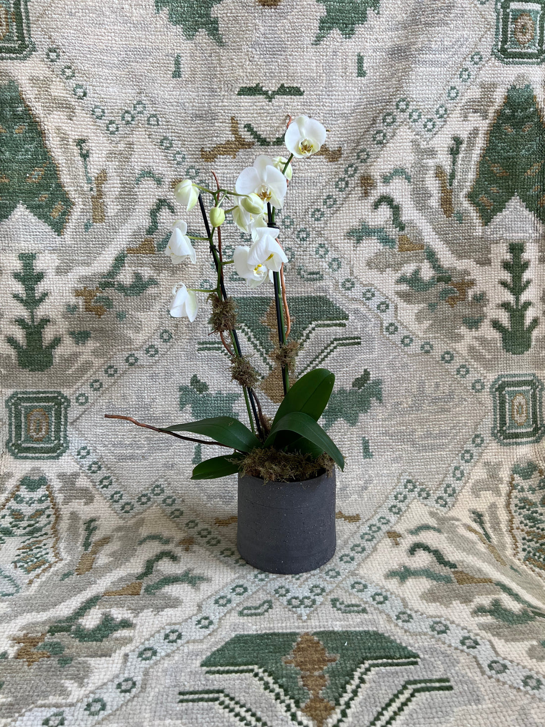 Steel Magnolia - 10x14