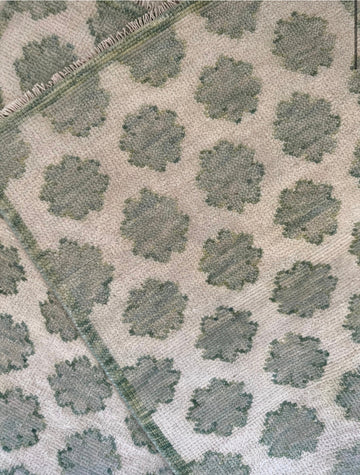 Charlotte’s Webb (green) — 3x5